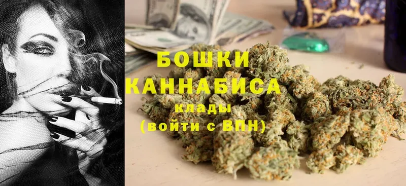 Канабис OG Kush  Лосино-Петровский 